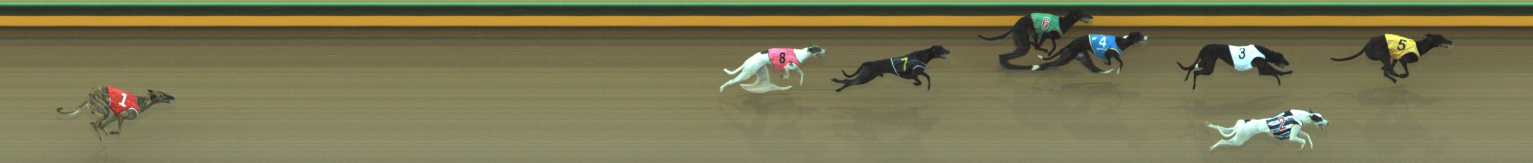 Race result finish photo